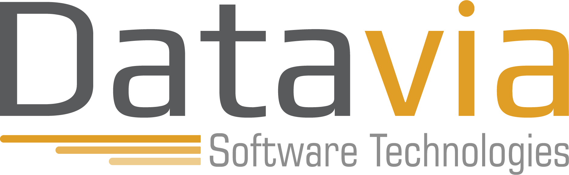 Datavia Software Technologies